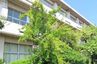 半田市立半田小学校